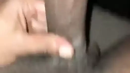 Büyük siyah horoz kahrolası hmong kedi doogystyles