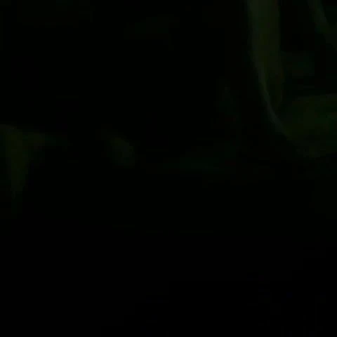Arkadas
