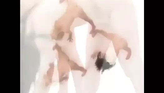 egzotik aussie-asyalı shayna lee iki arkadaş ile çalışır