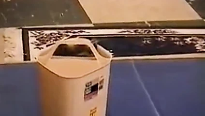 bikini kız kavgası