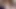 Granny sucking cock