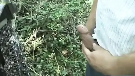 Hollandalı fanteziler: Hollanda fantezisi #190