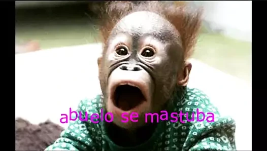 abuelo se mastuba