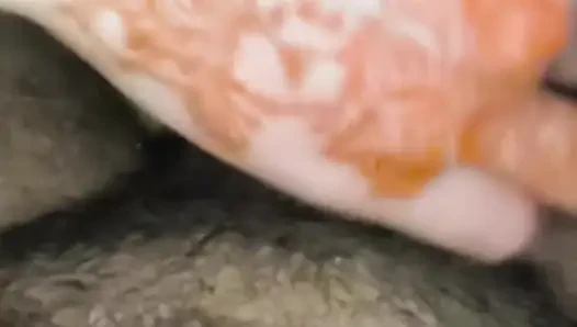 En Iyi Arap Oral Seks Ateşli Arap Evli Kadın Karımı Sikiyor