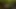 Misty Trips doğayla iletişim halinde - tam 4k yeniden düzenleme