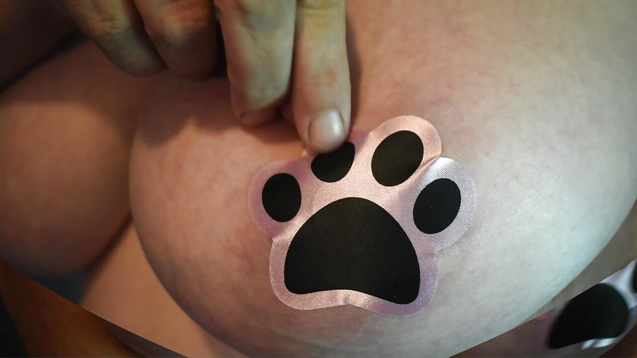 Bakış açısı köpek yavrusu senin boşalman için ddd memelerine paw pasties!!