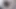 Sevimli kız parmaklar kedi üzerinde web kamerası