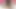 Bakire kız eğitim öğretmeninin kalın yarağını gördükten sonra amını sikmek istedi