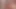 euro amatör KEDİ oynamıştı