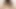 Dani Daniels ve Vanessa Veracruz sıradan lezbiyenler