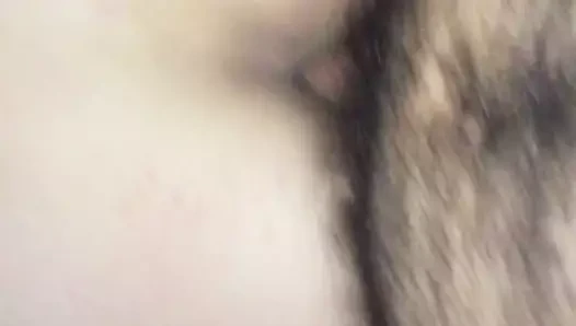 Büyük yaraklı beyaz göt