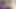 Waking up to a blowjob from two naughty cariocas is the best way to wake up