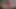 21 sextury - angelika grays komşuları tarafından ateşli üçlü seks yapıyor