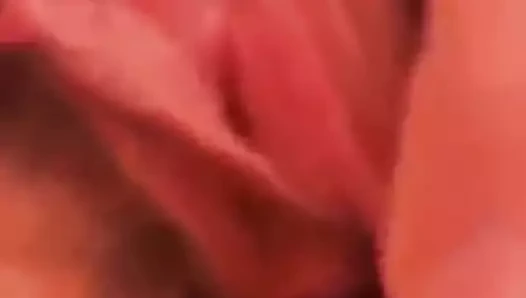 Ma chienne se touche pour moi