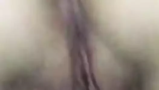 Muschi oyun 3