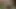 Azgın porno yıldızları Christy Mack ve Dahlia Sky ile üçlü seks