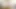 busty lezbiyen MİLF KEDİ oynamıştı ile salatalık