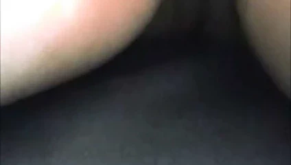 Galinas meme uçları ve kedi