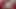 Horny Emerald Slut Doll Milks Her Massive Tits & Spreads Dripping Wet Pussy in xHamster Studio