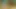 Web kamerasında Latinler (ses yok)