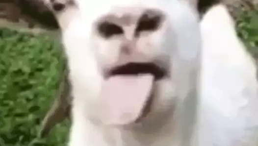 pantalones ajustados