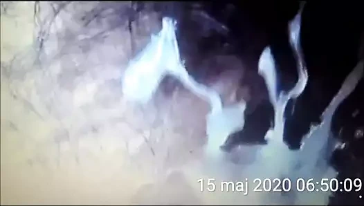 wytryska na zarosnieta cipe