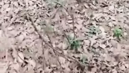 Une avaleuse chinoise baisee dans un bois