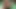 Zenci kızları seviyorum