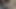 KEDİ olduğunu her zaman aç için ham horoz