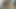 Arap porno filmi onu benimle ders çalışması için aradım iyi anladım