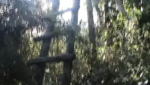 Vintage retro alman amatör - günlük porno dozunuz