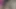 Zenci iri güzel kadın büyük amını siktirmeyi seviyor