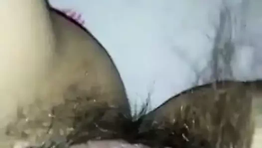 Kıllı kedi - kalın siyah çalı