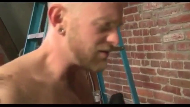 üreme tohumlama derleme