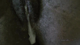 Benim yarı yaşımdaki siyah fwb'mi tohumlamak