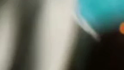 meme