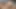 White boy gets a face full of wet Latin pussy, then fucks her
