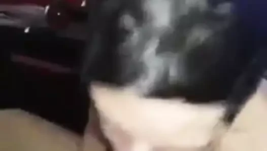 Sürtük emme üzerinde bir dev horoz
