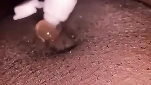 taligram humanangel3