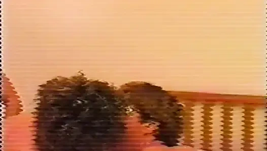 Kamyoncunun Arkadaşları