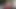 Dildo serseri nina kayy havuz kenarındaki amını dolduruyor!