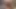 A milf near a mature pussy anal backshot