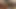Hintli köylü desi yeni evli çift seks videosu
