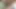 Genç kayınpederim işe gitmeden önce sıkıyor