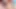 Pervcity riley reid hisseleri mike adriano horoz ile arkadaşlar