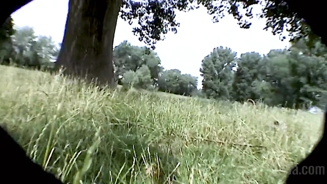 Bana Kıllı Vajini Göster