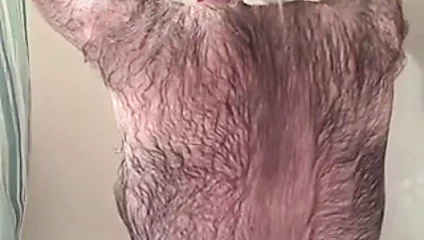 çok kıllı baba duş