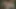Seksi esmer kızlar birbirlerini parmaklıyor