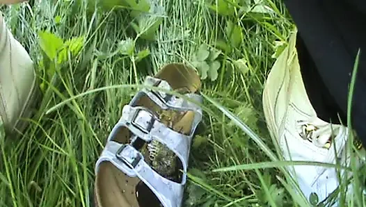 Dışarıda Dikkat Et, Ayakkabılarla Bile Işemeyim.