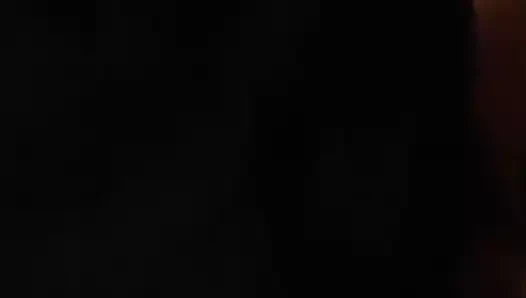 Shorthaired finn berbat the jumbo3